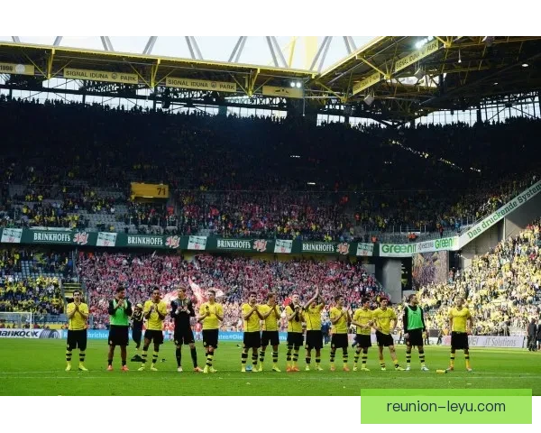 美因茨05俱乐部百年征程与德甲荣耀复兴之路全景透视再出发之路